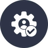 IT Consulting