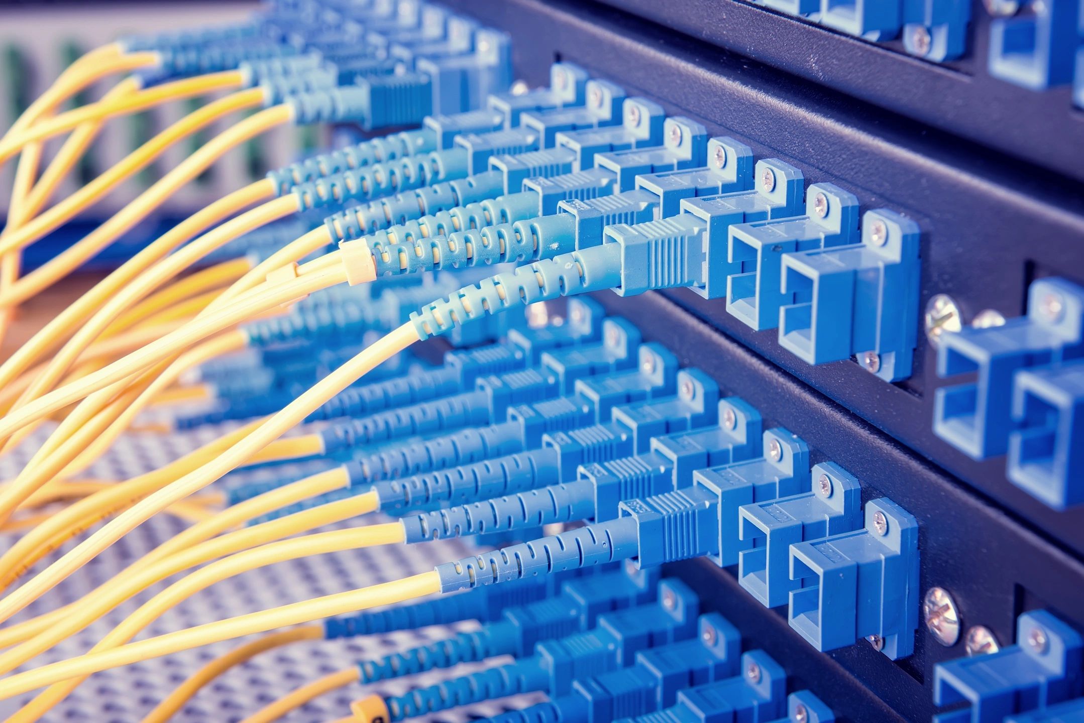 Fiber-optic patch cables connected to a fiber distribution panel